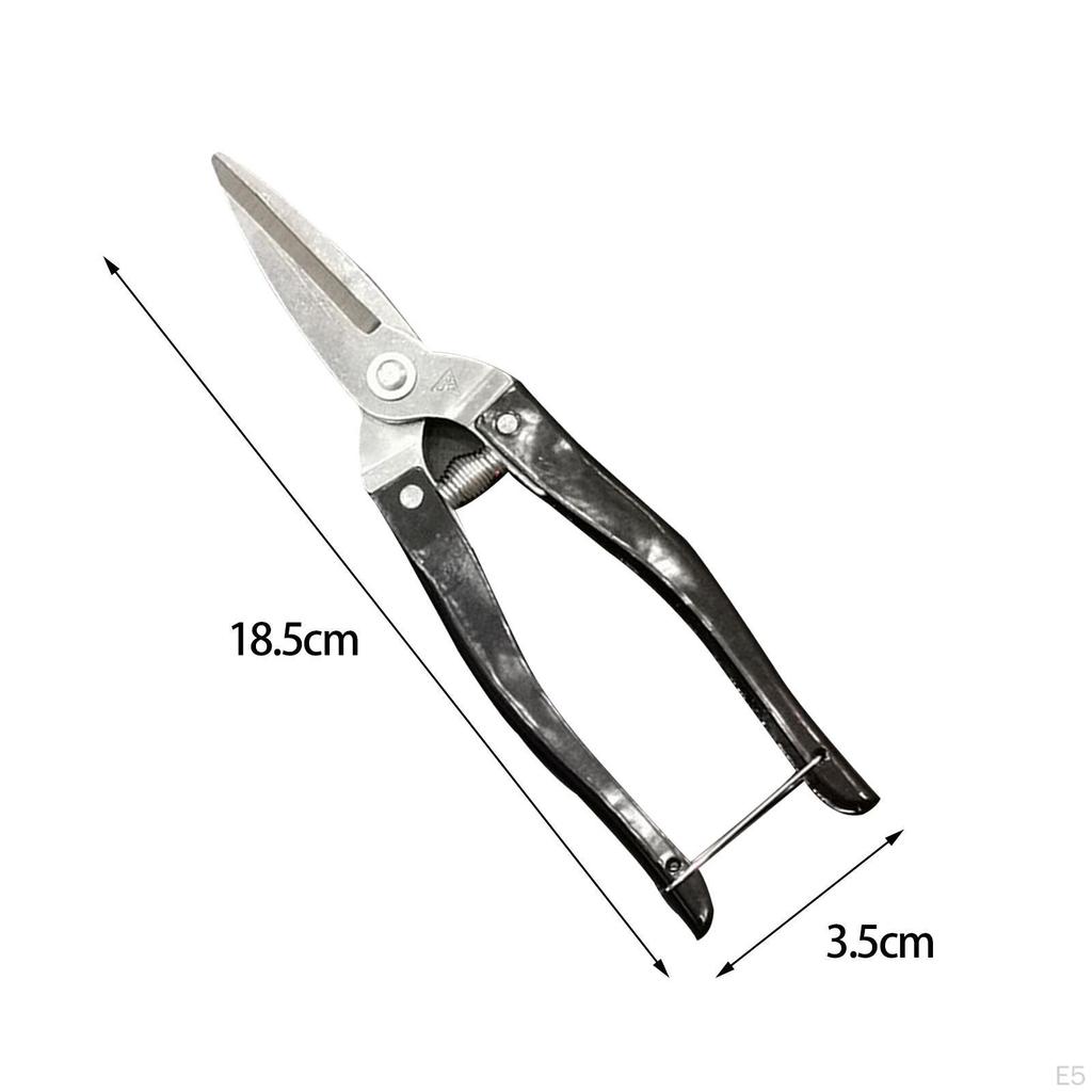 , Garden Pruning Shear, Multi Functional Stainless Steel Sharp Pruners, Fruit Picking Scissors, for