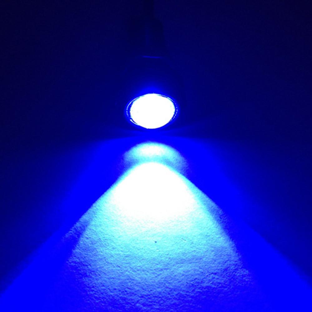 2PCS Fog Bulb Durable Universal 12v Car Accessories Signal Lamp Plug&play Auto License Plate Lamps Eagle Eye Light Led