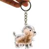 Creative Cartoon Pet Hair Storage Keychain Capsule: Golden Retriever Pendant Charm