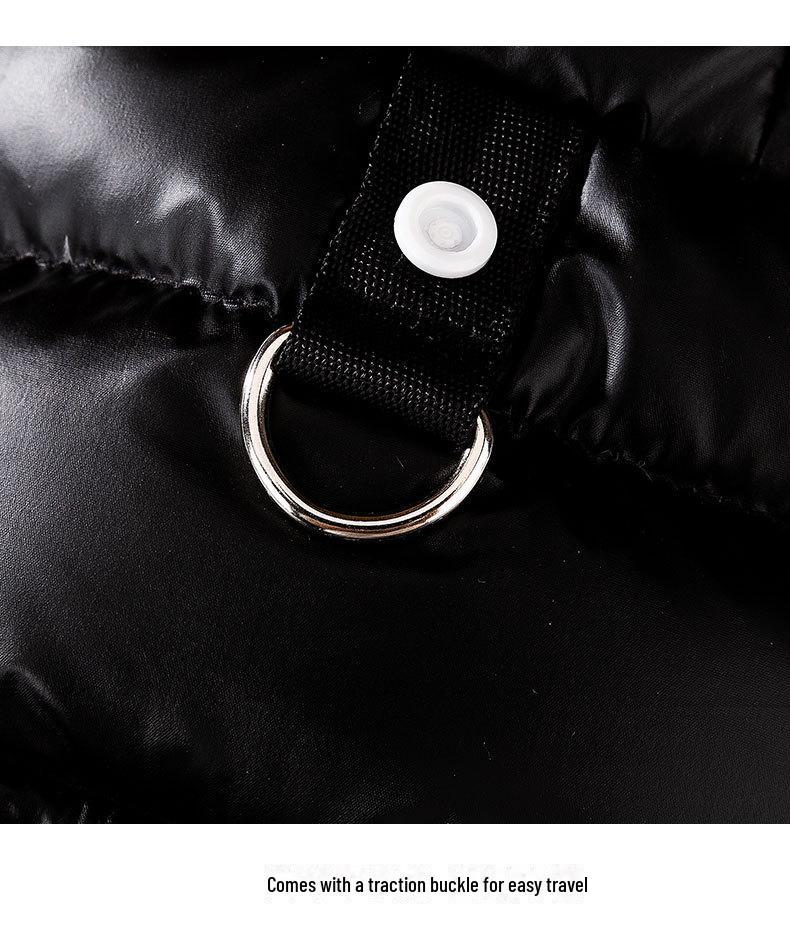 Graphene Black & Gold Hooded Down Jacket for Small Dogs & Cats - Autumn/Winter Pet Clothing