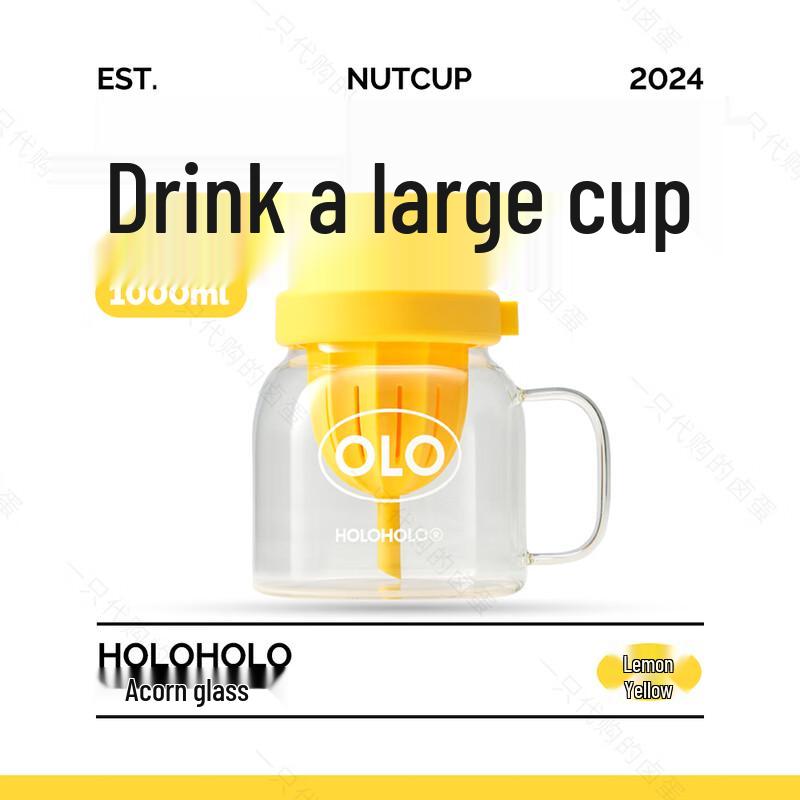 HOLOHOLO High-Temperature Glass Tea & Water Separation Mug with Straw 1000ml
