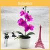 Simulated Flower Four Phalaenopsis Artificial Green Plant Potted Decor Indoor