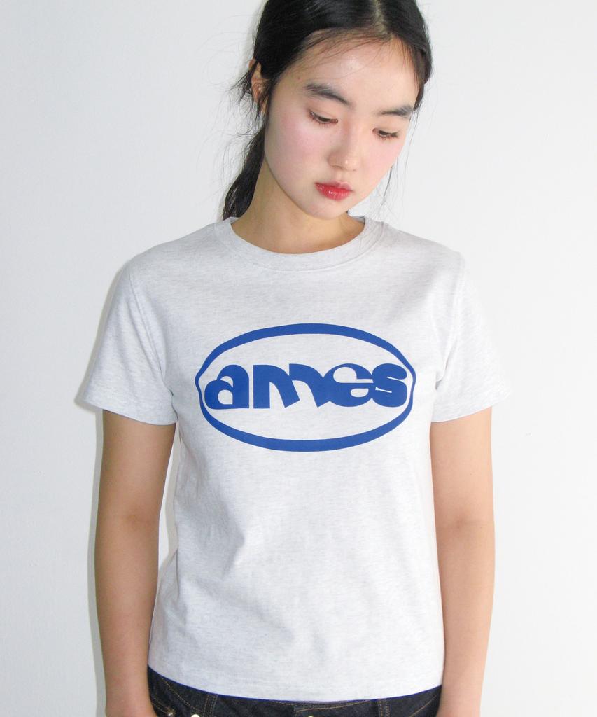 AMES-WORLDWIDE Ames Circle Logo Symbol Tee Light Gray