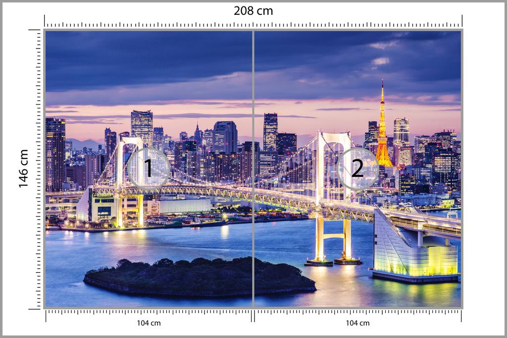 Photomural Rainbow Bridge In Tokyo  Non-Woven 208x146