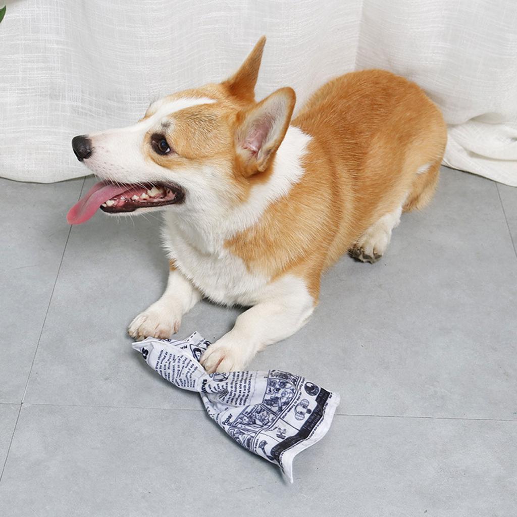 Interactive Unstuffed Dog Chew Toy for Small and Medium Dogs Squeak Toy Newspaper Reducing Boredom & Anxiety