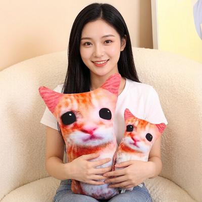 2040Cm Cute Cat Plush Pillow Stuffed Cartoon Animal Aggrieved Emotion Huggable Cushion Home Decor Gift