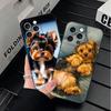 Yorkshire Terrier Dog Soft Phone Case for iPhone 16 16E 17 Air 15 Pro Max 14 Plus 13 Mini 11 12 7 Black Cover Back Shell