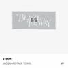 &TEAM BTW Black the Way Concert Tour Towel sealed Goods