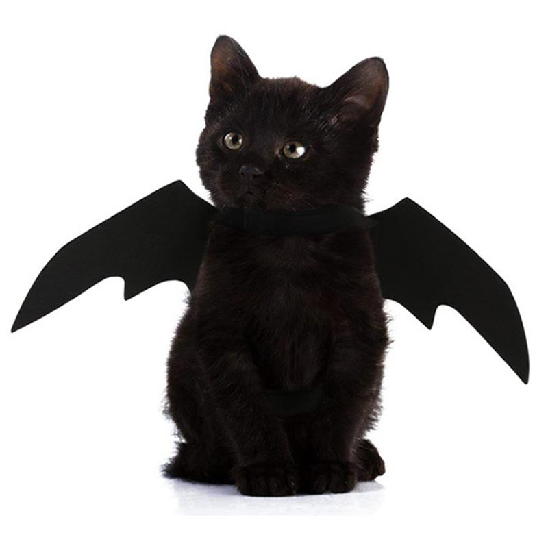 Ali di Pipistrello Nere Cosplay per Cane Gatto Costume Festa Halloween Decorazione