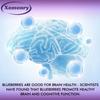 XEMENRY Blueberry Capsules Contain Anthocyanins, Vitamins, and Natural Antioxidants To Support Cholesterol Health and Cognitive Function.