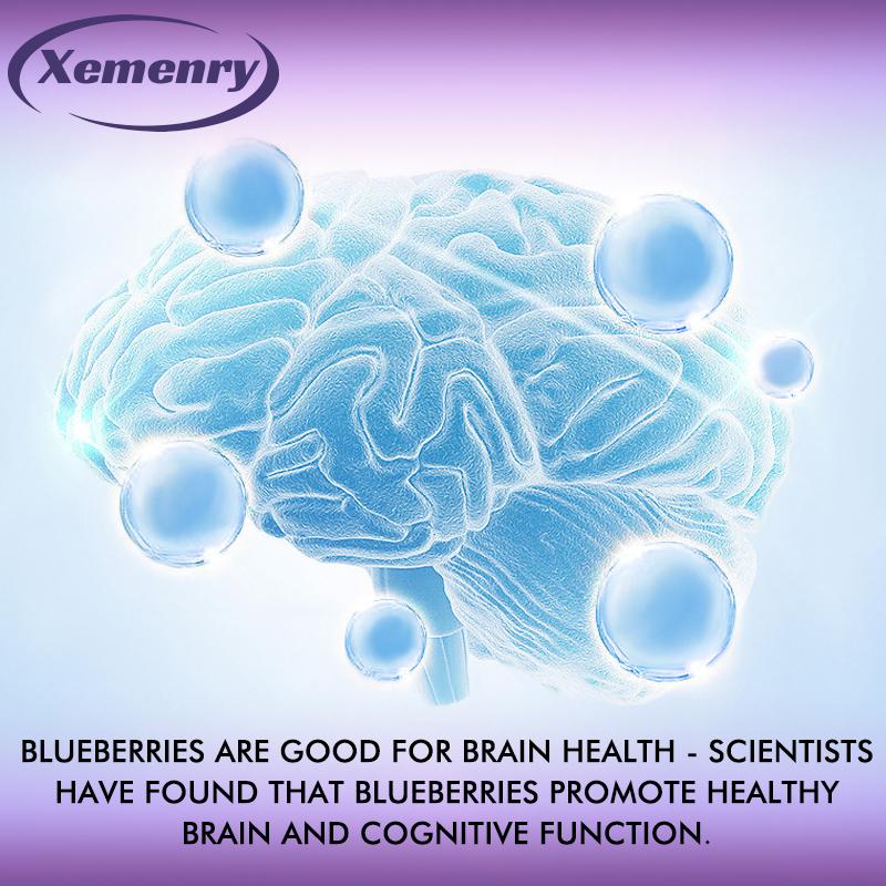 XEMENRY Blueberry Capsules Contain Anthocyanins, Vitamins, and Natural Antioxidants To Support Cholesterol Health and Cognitive Function.