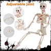 Halloween Skeleton Figurine Ornament Posable Party Supplies Scary Statue Decorative for Indoor