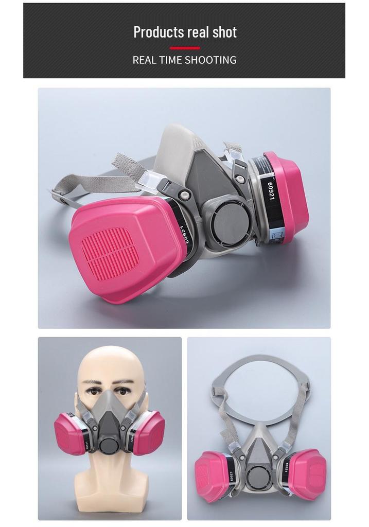 Gas Mask with 60923/21/26 Filter for Paint, Pesticide, Odor, and Chemical Protection