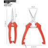 Straight Head Garden Pruning Shears for Fruit, Vegetable, and Flower Cutting