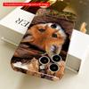 2DFlat Fox peeking from log All inclusive film hard iPhone case, compatible with iPhone 18 Pro Max 17 16 15 14 13 12 11
