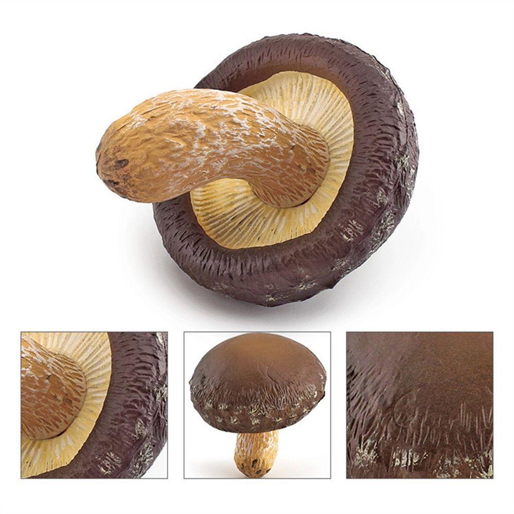 Vegetable Model Fungus Figurines Landscape Miniatures Artificial Simulation Mushroom Teaching Toy Pleurotus Fungus Model