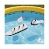 Realistic, Split-in-two Titanic Bath Toy and Pool Toy, Titanic Topper, Historically Accurate, Breakable Titanic Boat