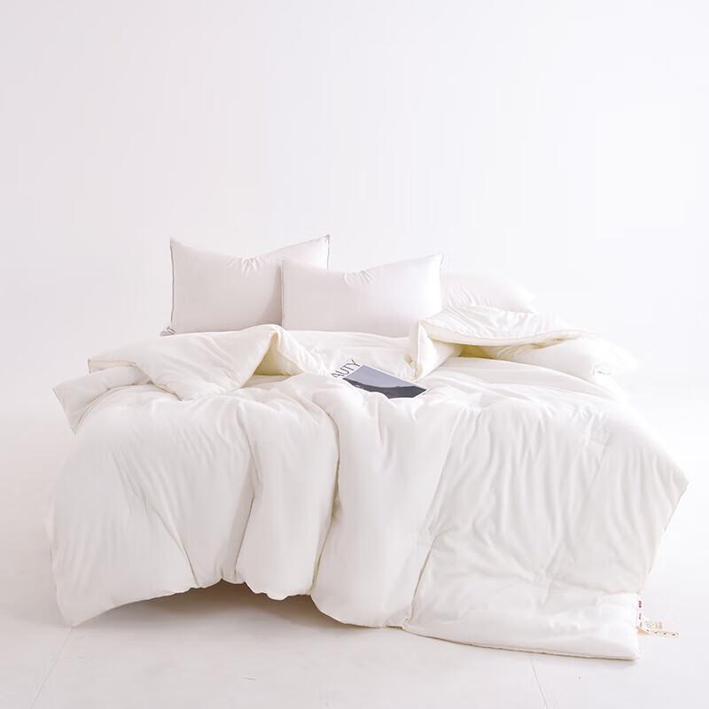 Muji Light Luxury Jacquard Cloud Feel Quilt