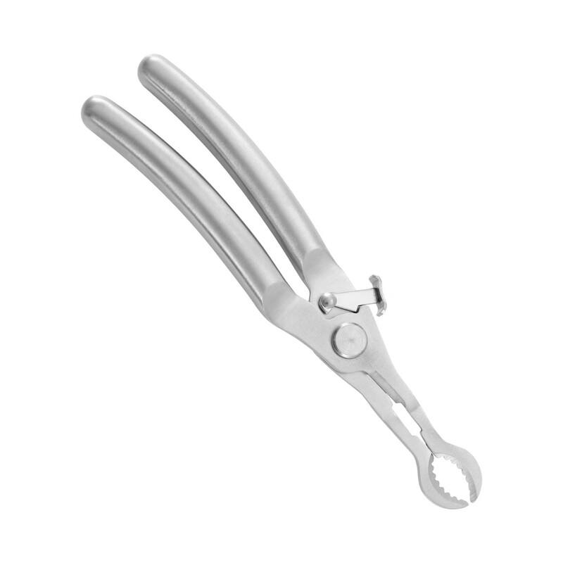 Stainless Steel Hawthorn Corer and Nut Cracker Set