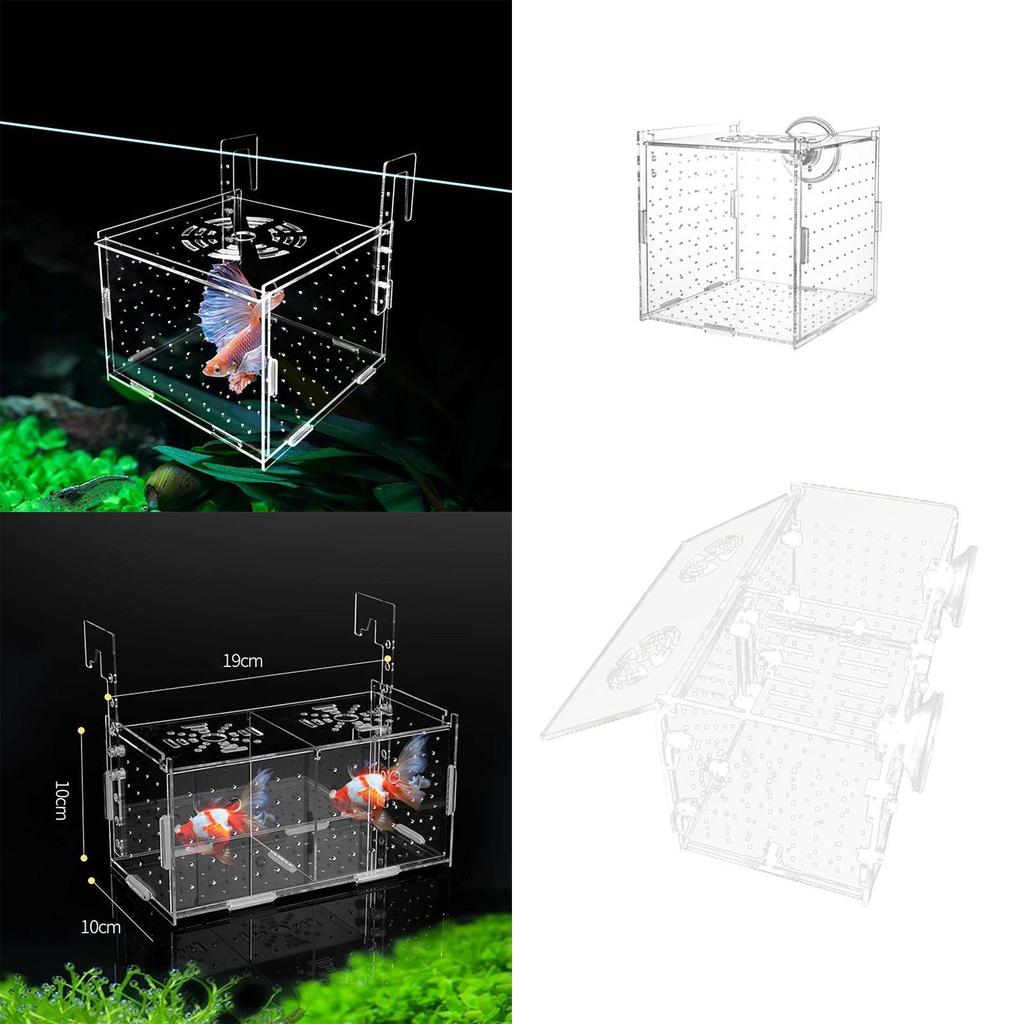 Aquarium Breeding Box Separator Clear Acclimation Hatchery Tank Box for Clown Guppy Small es