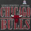 Mitchell & Ness x NBA Sweatshirt Unisex FC11208