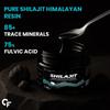 Carbamide Forte Shilajit Resin for Men with Fulvic Acid and Trace Minerals 20g Original Ayurvedic Resin