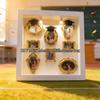1 SET DIY Shadow Box Frame Mini Memory Display Kit Creative Photo Album For Anniversary Unique Romantic Daily Gift Idea Decor