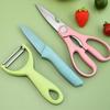 Three Piece Color Box Kitchen Stainless Steel Fruit Knife Kitchen Scissors Set
