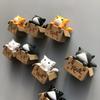 Niedliche Katzen Kühlschrankmagnete  Heimdekorationsmagnete  3D-Magnete  Geschenke