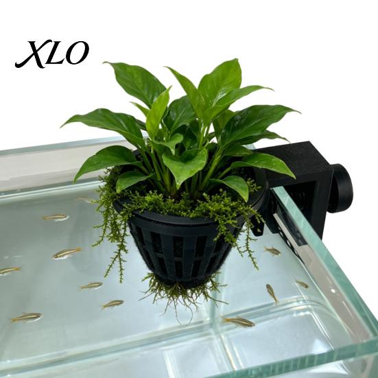 Freshwater Tank Planter Aquarium Plant Holder, Top Hanging Fish Planting Basket with Screw Clamp for Anubias, Aquatic Plants Hydroponic Net Cup