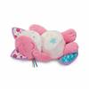 Soft Toy with Sounds Vtech Baby
