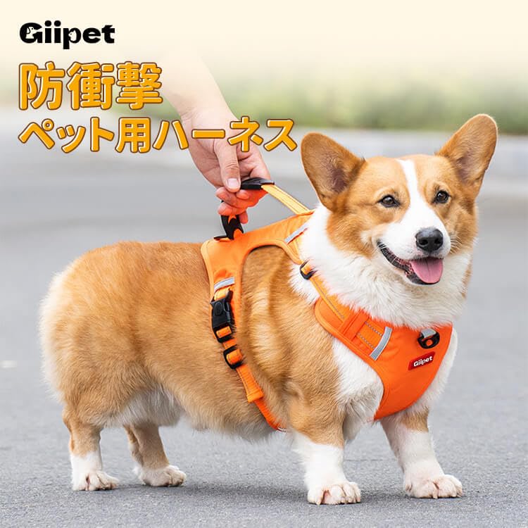 GIIPET Dog Harness with Suitable for Soft Dog Come Easy to Put On and Take Adjustable Reflective Collar For Walking Walking M - Lead, 2-45kg, Harness,