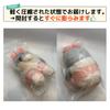 Cmart-Labo Italian Brain Lot Plush Toy - Cute Birthday Gift (Pink [Los Tralareritas Descen Tralari])