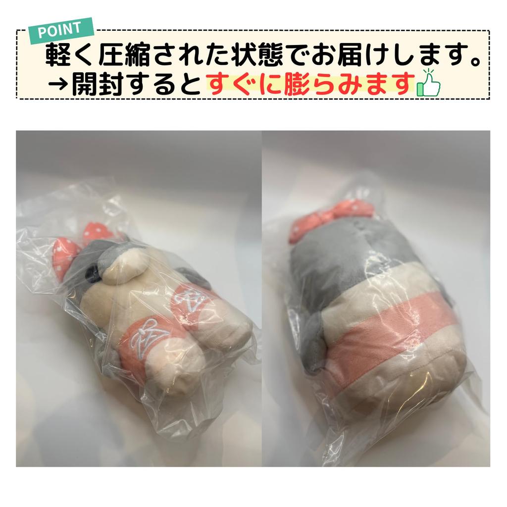 Cmart-Labo Italian Brain Lot Plush Toy - Cute Birthday Gift (Pink [Los Tralareritas Descen Tralari])