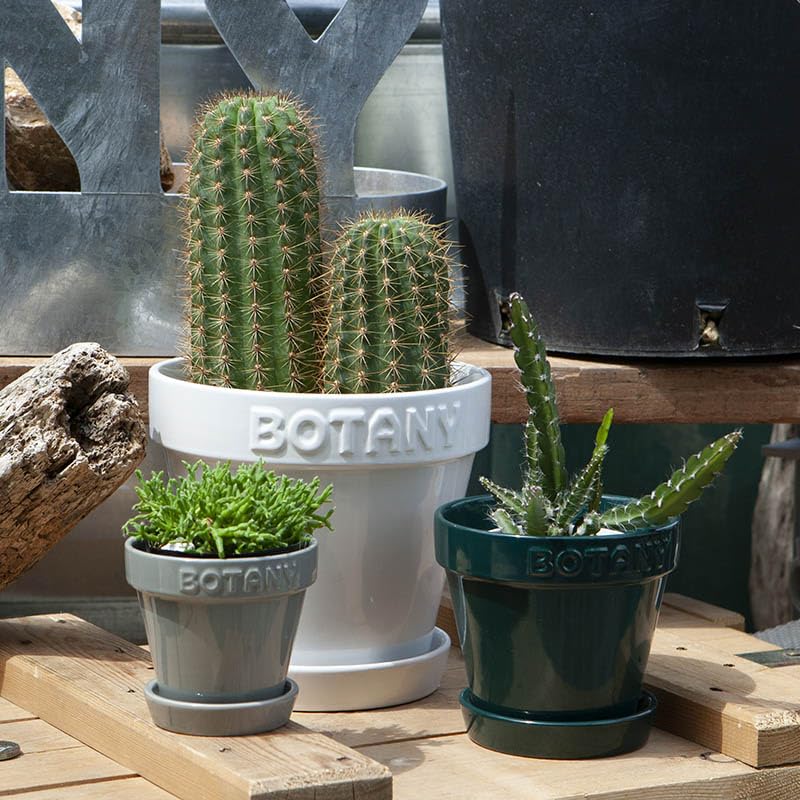 Dulton Botany Pot 5 White Embossed logo and earth colored flower pot BOTANY 5 Height Diameter 15cm No. 13.8cm G21-0395M/WT