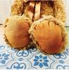 [USED] Final Price Plush Toy Bear Fluffy Teddy Bear Camel