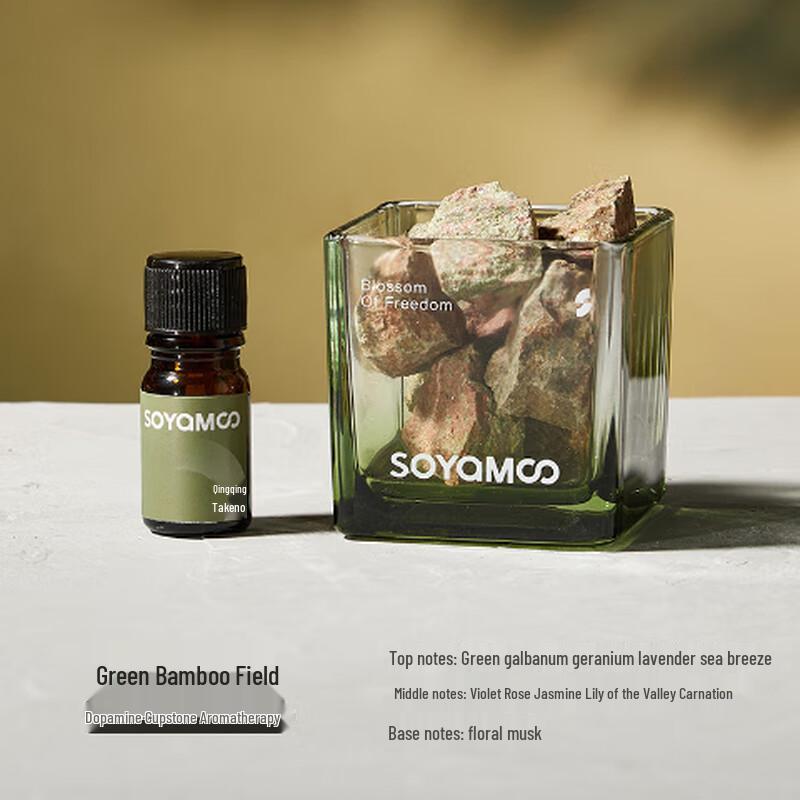 Oujiewang Flameless Diffuser Stone with Essential Oil