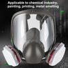 6800 Dust Mask Full-Face Anti-paint Masks With Filters Dust Facial Shield Anti-Fog Len Decoration Polishing Mask Face Respirator