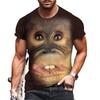 Summer New Men's T-shirt 3D Print Fun Gorilla Fashion Trend Street Comfortable Casual Top Round Neck Plus Size Short Sleeve