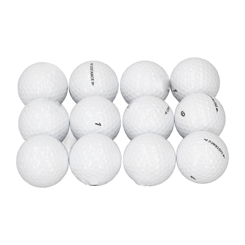 12PCS Golf Balls Lightweight Golf Practice Balls Double Layer Game Ball for Men Women Adults Birthday Present