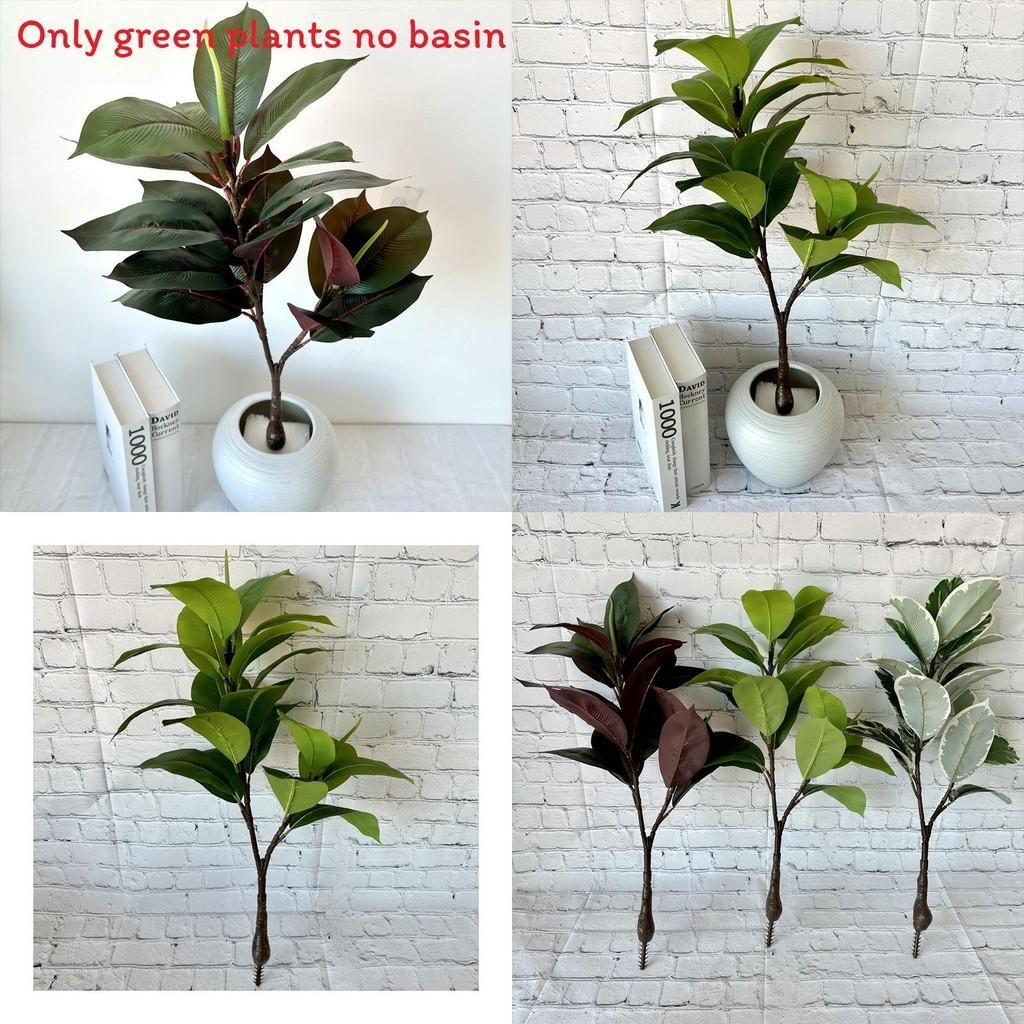 Plush Hevea Brasiliensis Indoor Plant For Living Room Decor And Event Styling