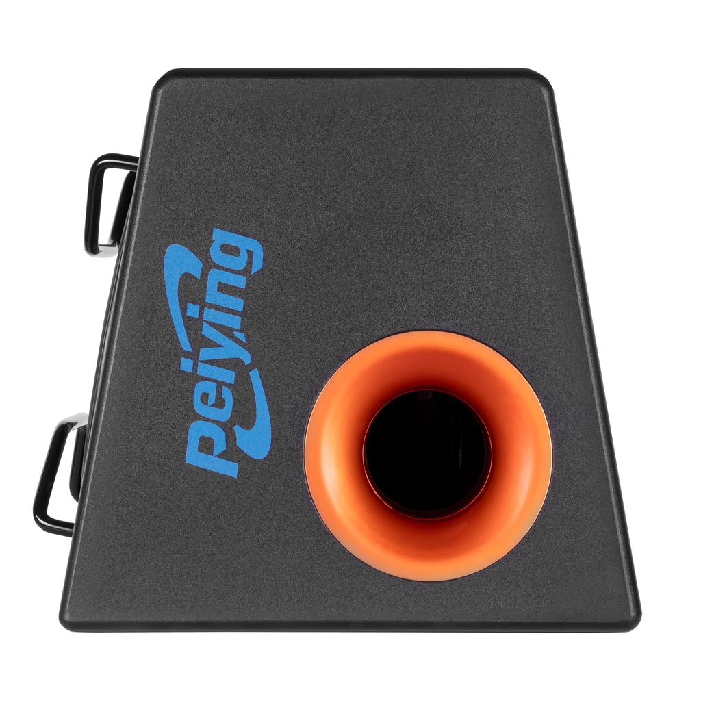 Py-Bb300X Active Subwoofer