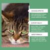 YEGBONG Cat Grass Tablets (80 Tables) - Improves Gastrointestinal Function and Protects Pet Health with Dietary Fiber.