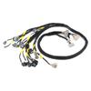 Tucked Engine Harness Compatible-For 92-00 Civic-Integra B16 B18 D16 AP03 CNCHOBD21 EK EG EM Engine Motor Wiring Harness