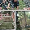 Durable Rope Mesh Net Easy To Sturdy Support Safety Net For Playground Activities Lightweight