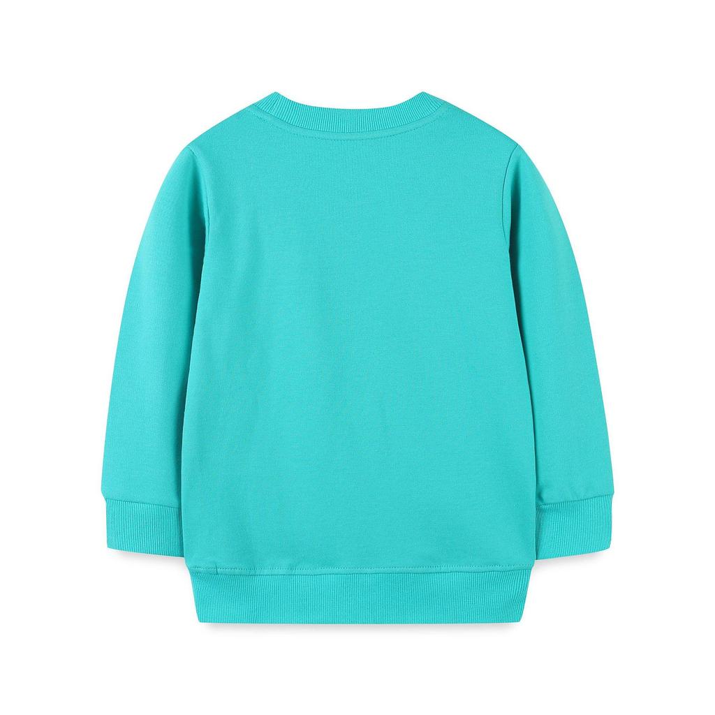 Suéter bordado para meninas de outono: Pulôver de manga comprida estilo europeu e americano