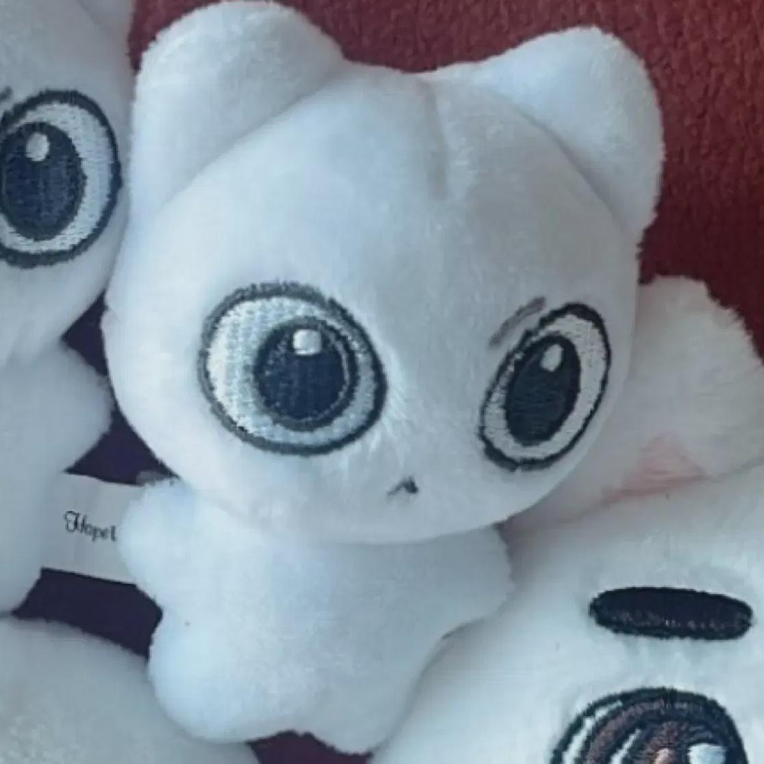 

Boynextdoor Like Sungho Bi Gong Good Doll