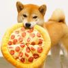 Köpek Oyuncağı Peluş Pizza Şekli Evcil Hayvan Gıcırtılı Ses Oyuncakları Küçük Büyük Köpekler Yavru Diş Temizliği Çiğneme Oyuncağı Evcil Hayvan Malzemeleri