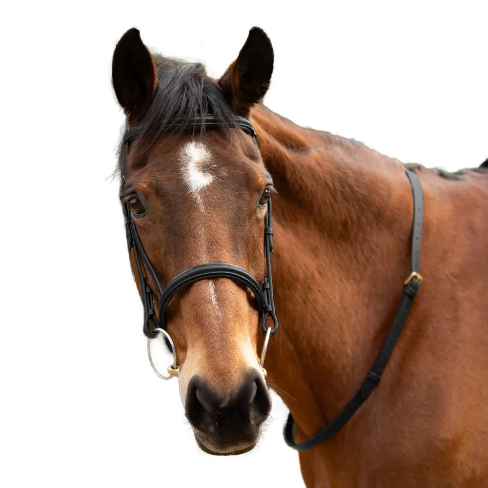 Hy Tira de Couro para Pescoço de Cavalo