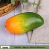 Foam Fruit Model Set: Educational Toy & Display with Plastic Apples, Bananas, Grapes for Kids